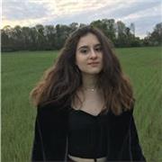 Lehramtsstudentin gibt Lateinnachhilfe für Schülerinnen und Schüler (Online und vor Ort möglich)